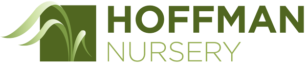 Availability For Hoffman Nursery Grasses And Sedges