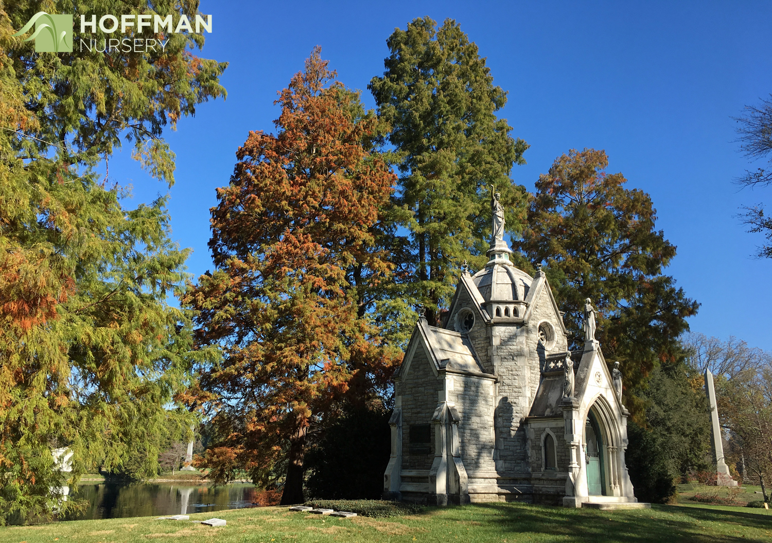 Spring Grove Cemetery & Arboretum has an extensive collection of aged trees and unusual specimens. Its beautiful memorial structures frame the landscape and highlight the beautiful fall colors.