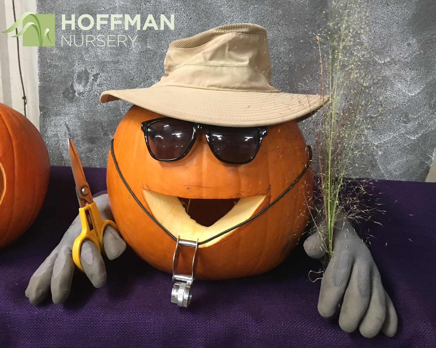 Our growers take the scary out of working with Hoffman Nursery. You know you're getting great grasses!