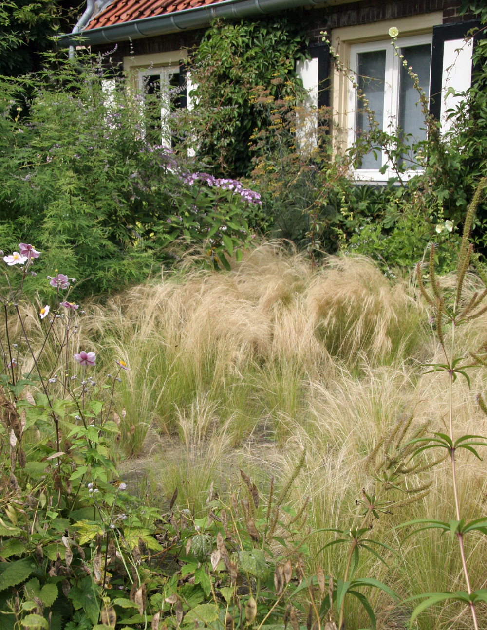 Mexican Feather Grass softens the path in Oudolf's garden.