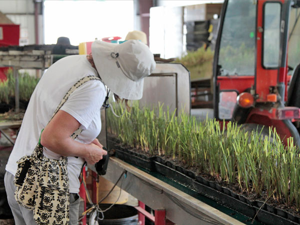 Students examined plants in the production line