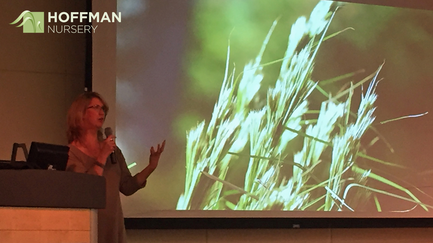 Our Marketing Director Shannon Currey talked about native grasses and sedges, focusing on the important role they play in building today's landscapes.