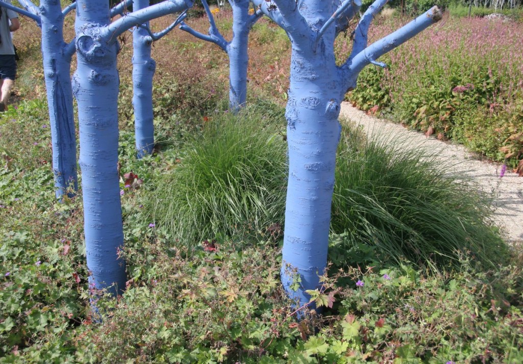 Blue Trees at Appeltern Garden
