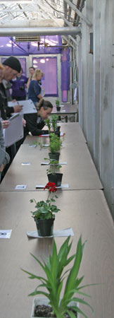 Students take their turn with each plant