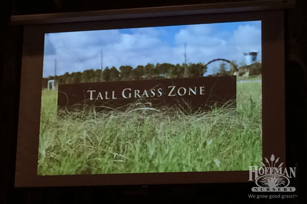 Tall Grass Zone