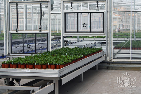 Greenhouse automation