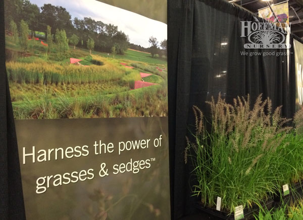 Our booth at Cultivate highlighted grasses and sedges that are real workhorses. They fit the green infrastructure market, and many are highly ornamental, too. What a great combo!