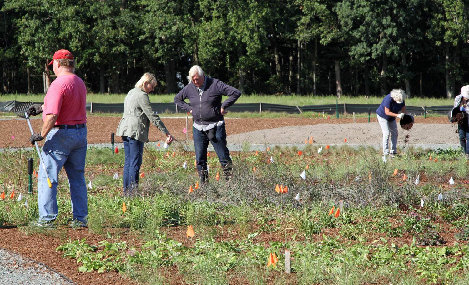 Oudolf confers with designer Hanna Packer on the planting