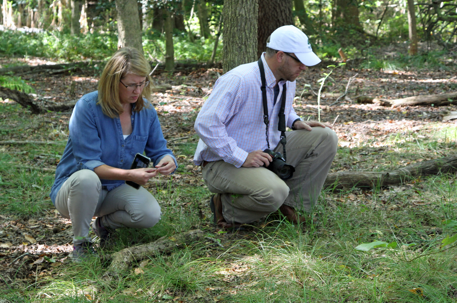 The Garden's woodlands have several naturally-occurring native sedges. Shannon Currey and Richard Olsen took a closer look.